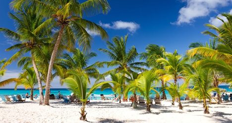 zbor ieftin, bilet avion ieftin, vacanta ieftina, punta cana, republica dominicana, travelator.ro,zboruri ieftine, zboruri si vacante ieftine, travelator.ro, punta cana, republica dominicana, ponturi vacanta, diy, zboruri ieftine bucuresti - punta cana, ponturi vacanta