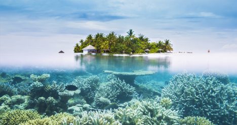 zbor ieftin, maldive, travelator.ro, diy, pont