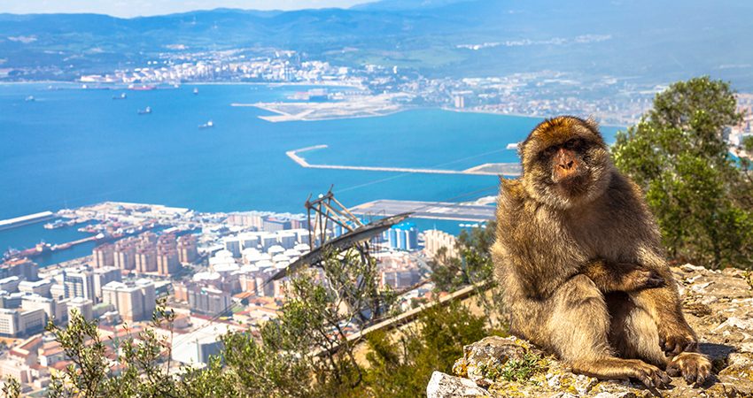 zbor ieftin, vacanta ieftina gibraltar, gibraltar, spania, travelator.ro, pont calatorie, diy, low cost