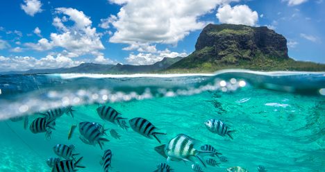 zbor ieftin mauritius, mauritius, africa, travelator.ro, pont calatorie, diy