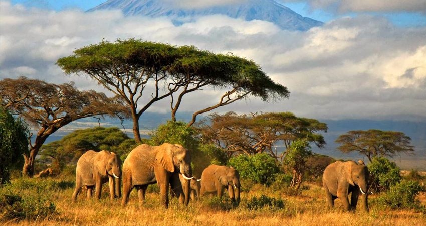 zboruri ieftine, tanzania, dar es salaam, kilimanjaro, travelator.ro, ponturi, calatorii, idei de vacanta