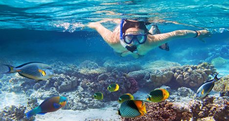 zbor ieftin, vacanta ieftina, vacanta egipt, vacanta sharm el sheikh, vacanta all inclusive, travelator.ro, pont calatorie, diy, egipt, sharm el sheikh, zboruri ieftine, vacante ieftine, zboruri si vacante ieftine, vacanta ieftina egipt