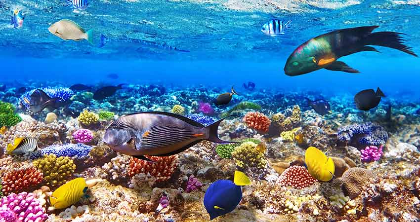 zboruri ieftine, vacante ieftine, zboruri si vacante ieftine, travelator.ro, ponturi vacanta, hurghada, egipt, vacanta ieftina hurghada, vacanta ieftina egipt, zboruri ieftine egipt, calatorii, 2017
