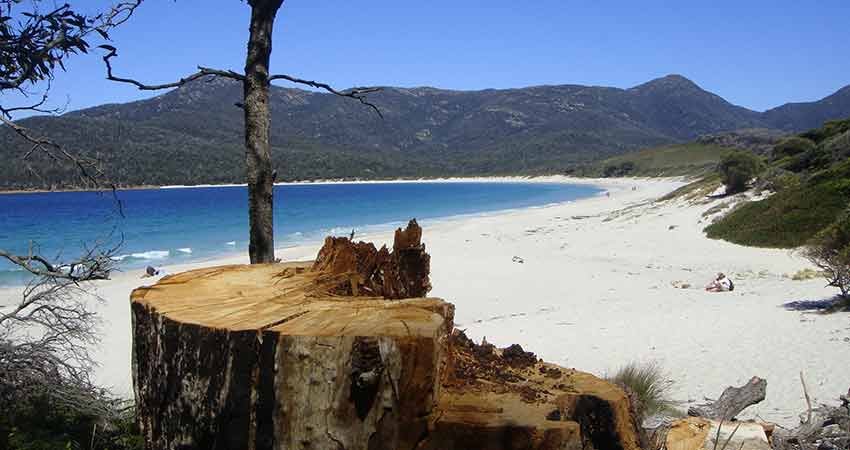 calatorii, ponturi vacanta, tasmania, australia, travelator.ro, triptil.ro, jurnal de calatorie, oana iancu