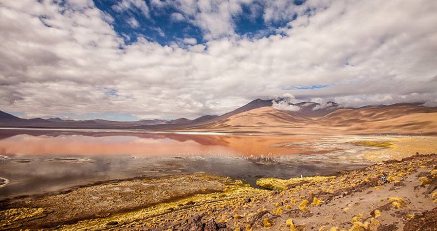 sori tigaeru, haicusori.com, travelator.ro, calatorii, ponturi vacanta, chile, jurnal de calatorie,