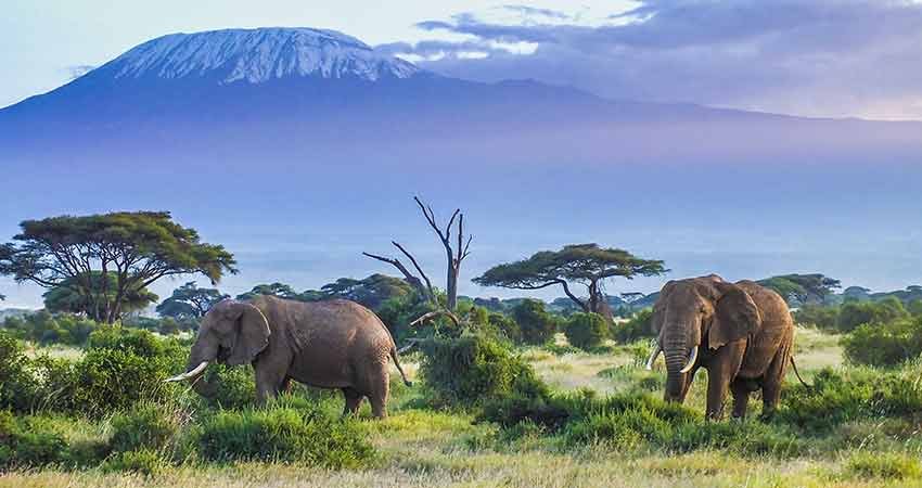 zboruri ieftine, promotie, flydubai, travelator.ro, kilimanjaro, tanzania, ponturi, calatorii, diy