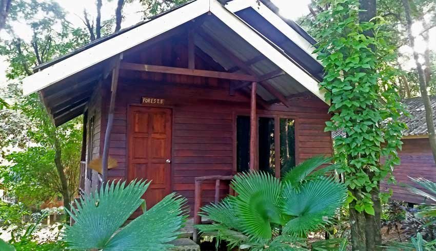 Khao Sok, thailanda, impresii calatorie, povestiri, calatorii, ovidiu balaj, garlic trail