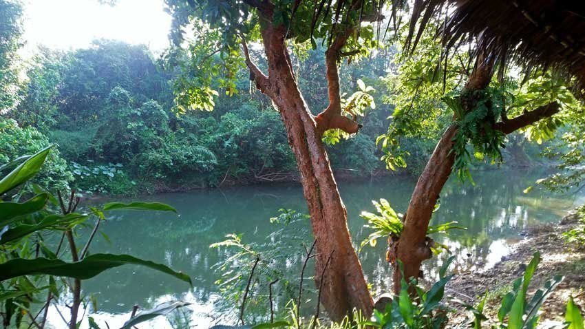 Khao Sok, thailanda, impresii calatorie, povestiri, calatorii, ovidiu balaj, garlic trail