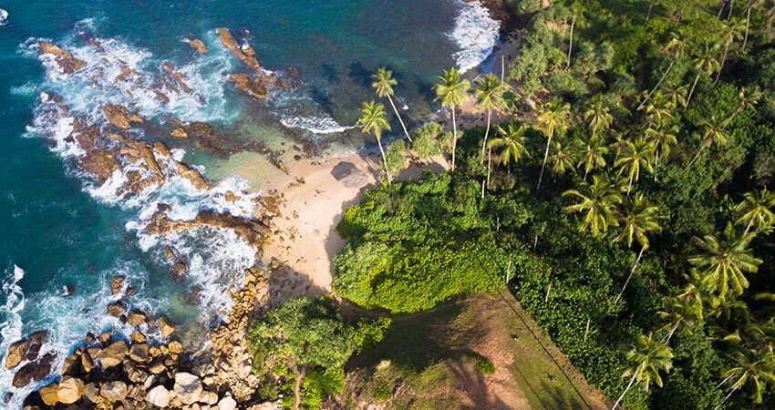 zboruri ieftine, vacante ieftine, sri lanka, plaja, cazare ieftina, mirissa, travelator.ro, ponturi, calatorii, aventuri, idei de vacanta